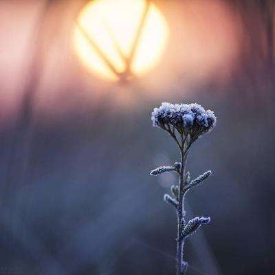 天天彩票app安卓版